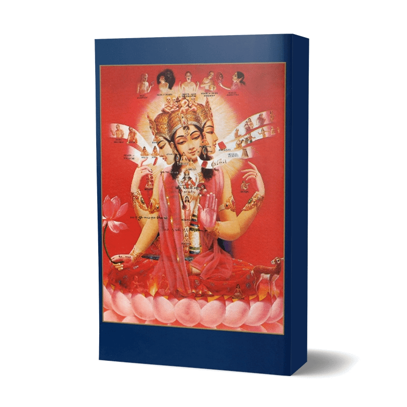 Srimad Bhagavatam 12 boeken